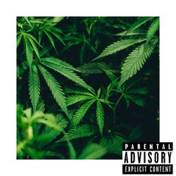 Cover of Weed