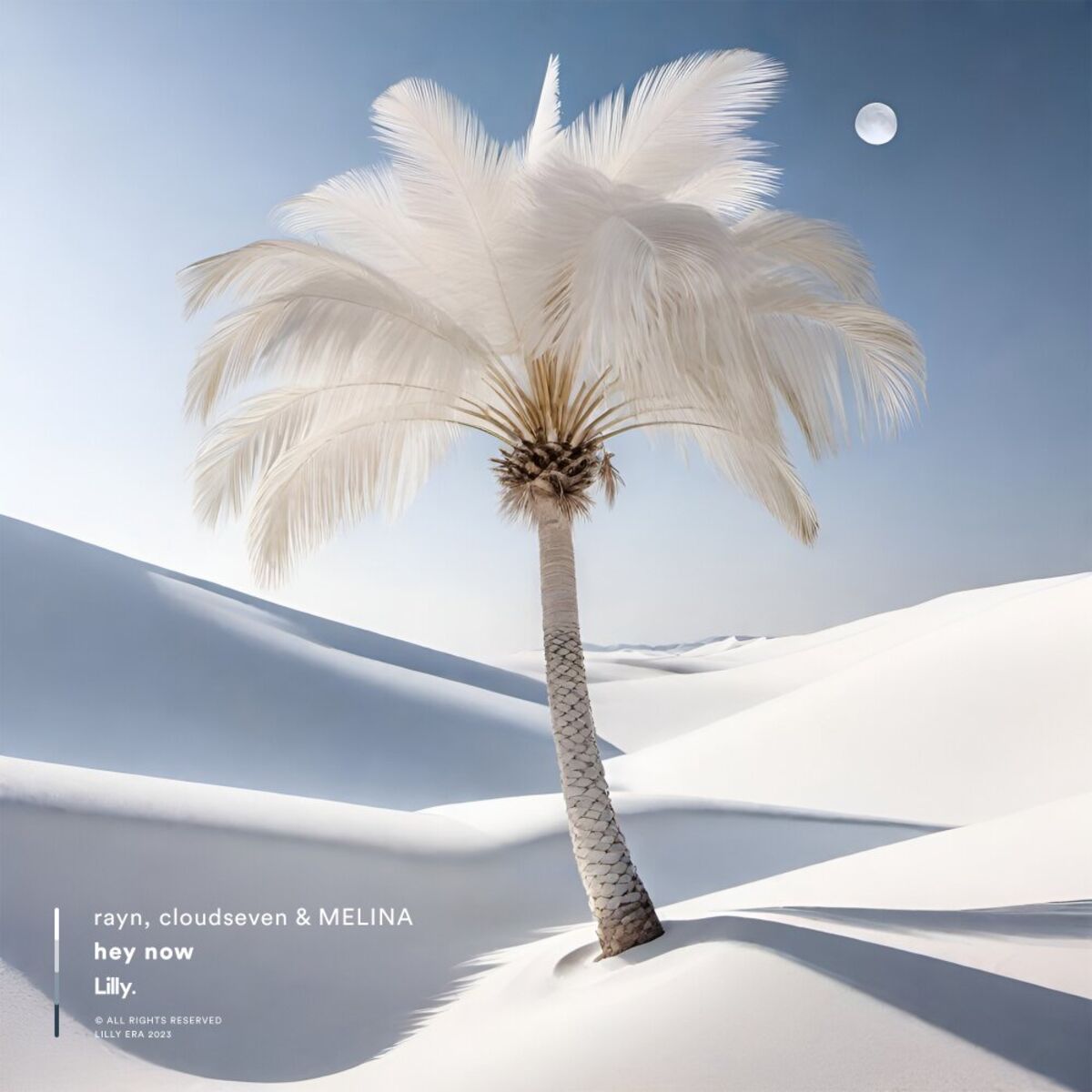 Album cover of hey now