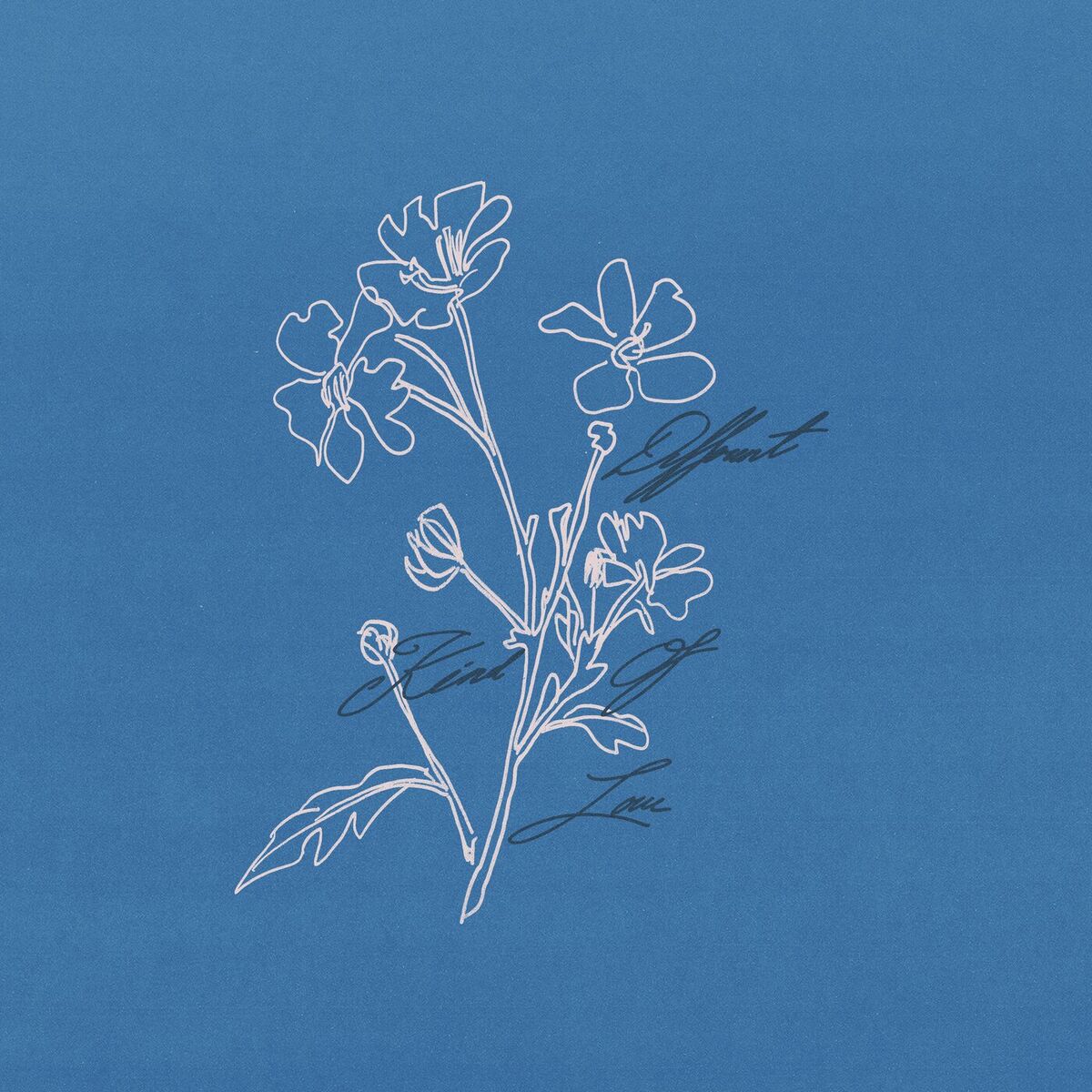 Album cover of Different Kind of Love