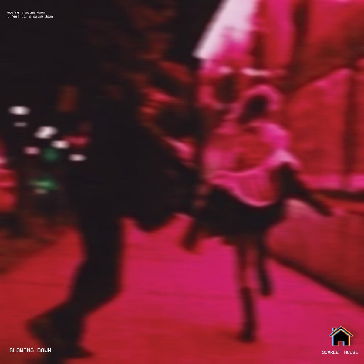 Album cover of Slowing Down