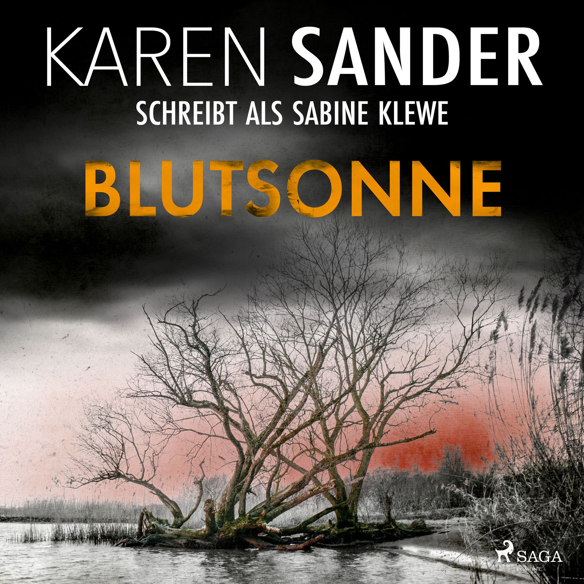 Album cover of Blutsonne