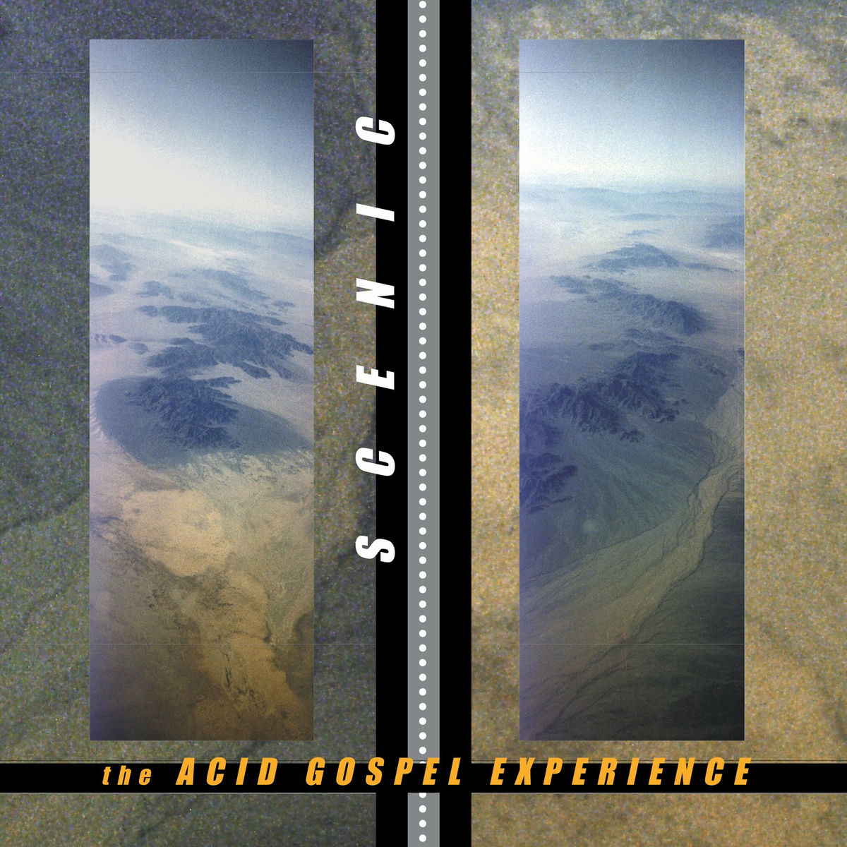 Album cover of The Acid Gospel Experience