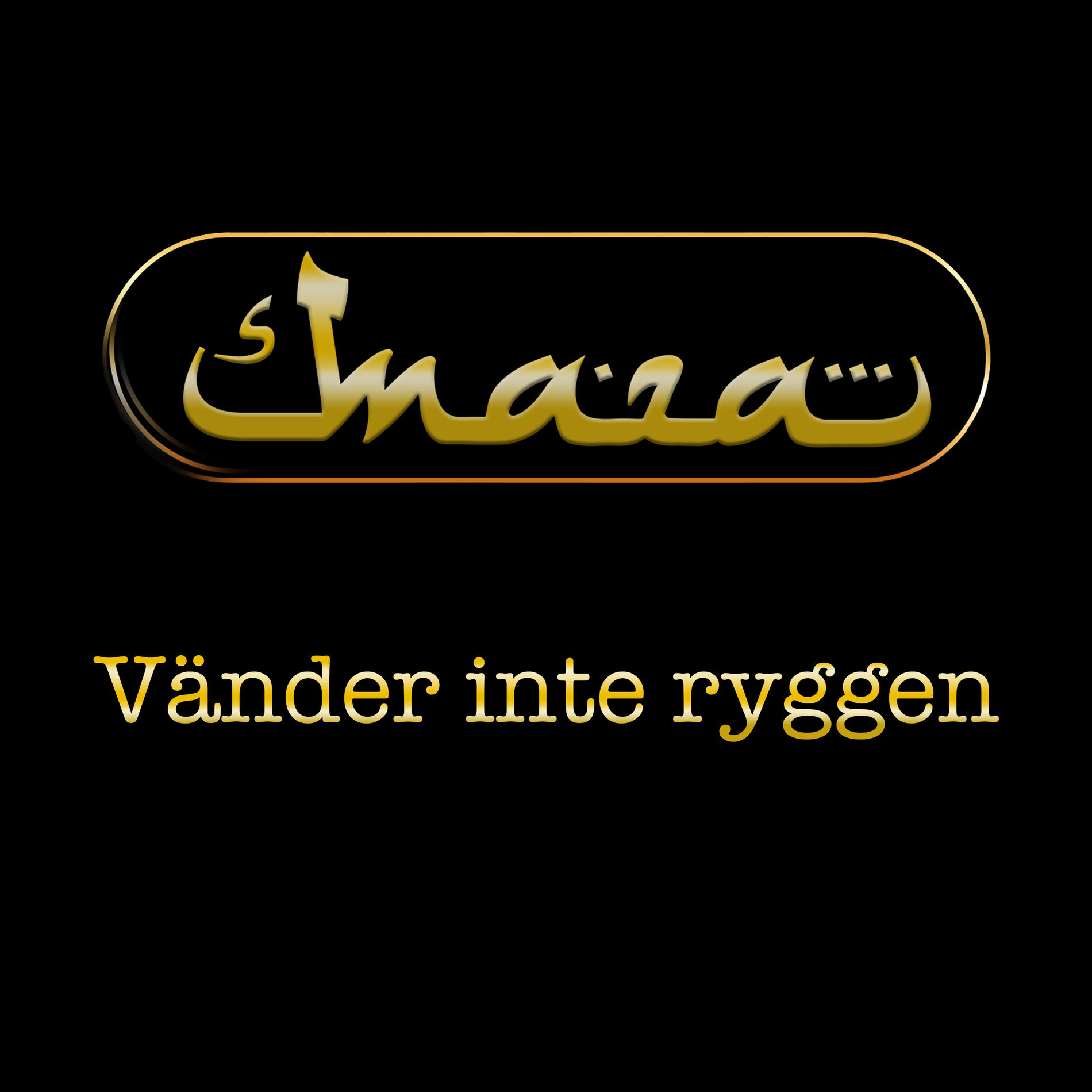 Album cover of Vänder inte ryggen