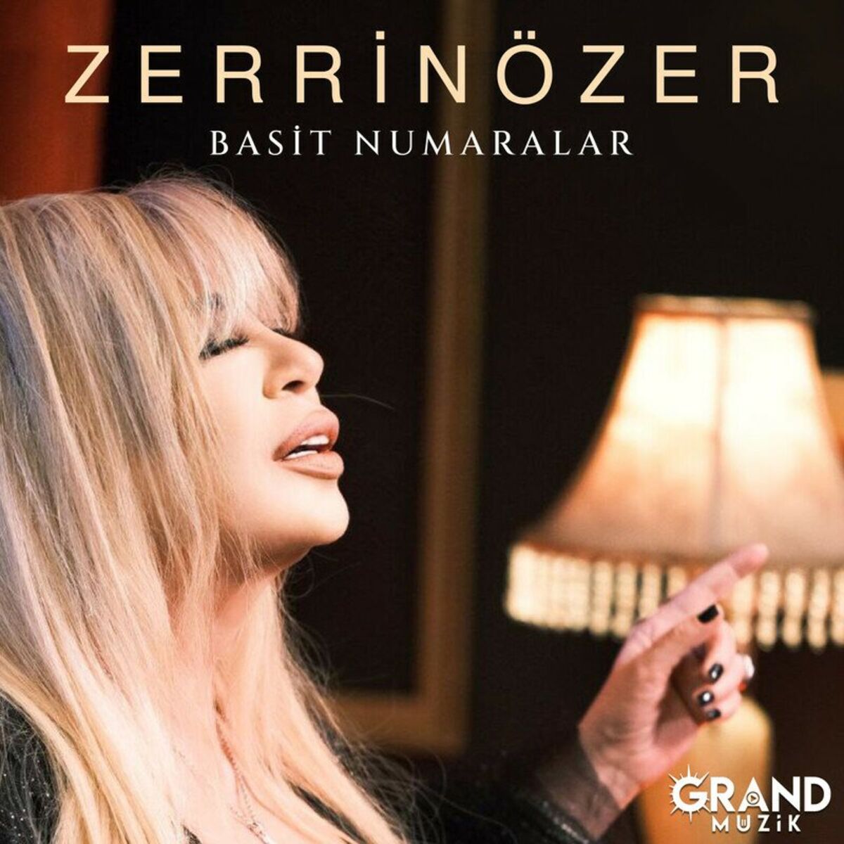 Album picture of Basit Numaralar