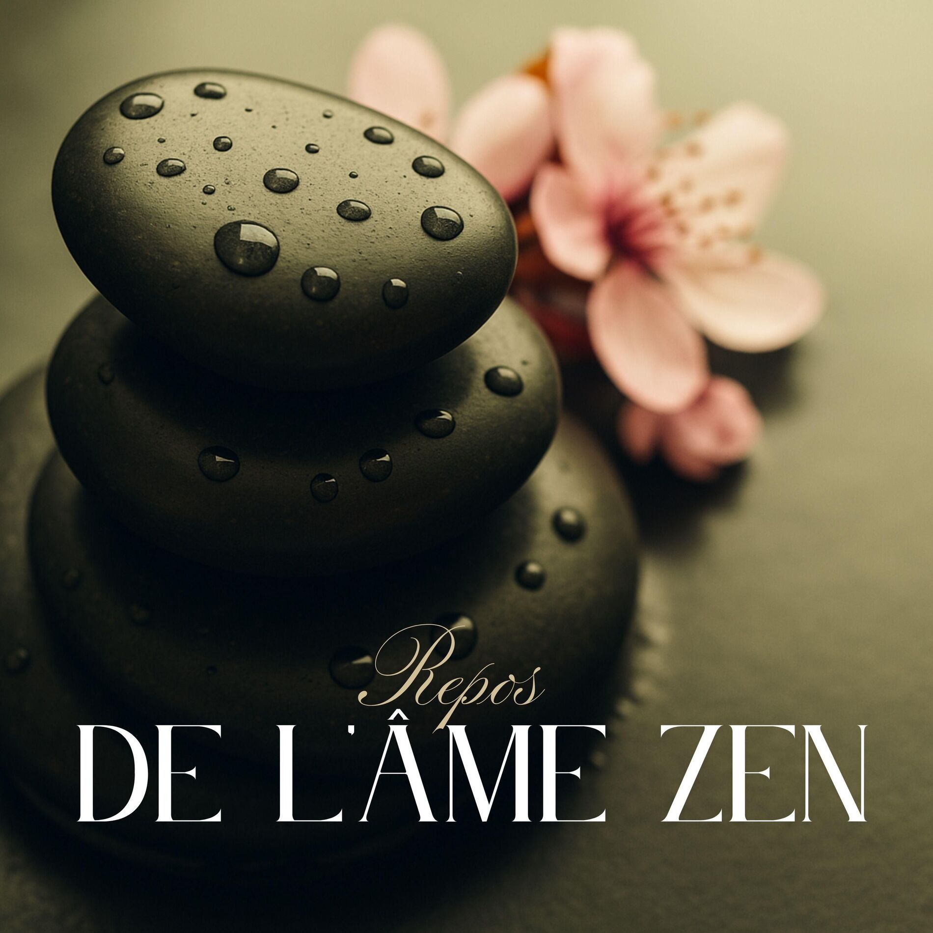 Album cover of Repos de l'Âme Zen