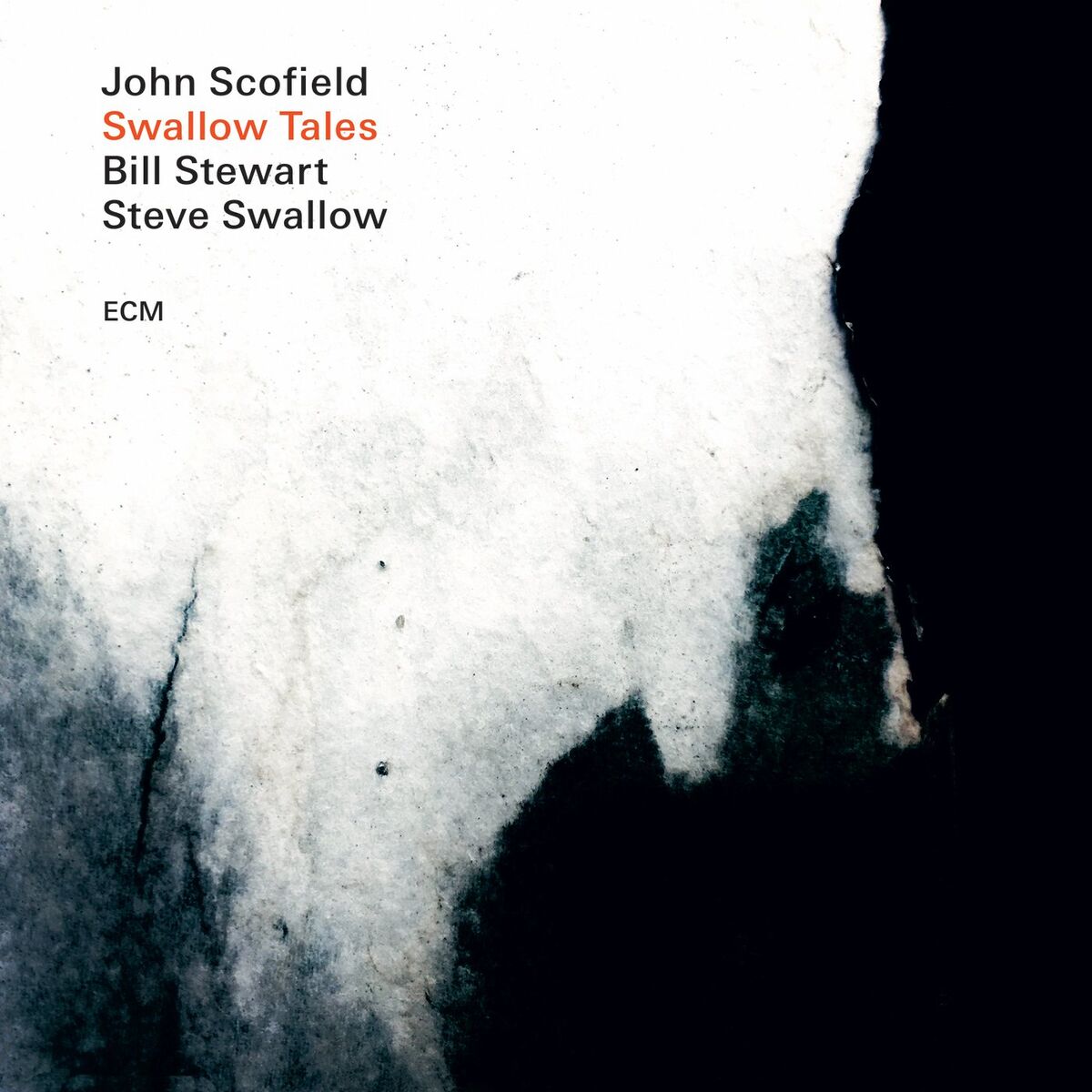 Album picture of Swallow Tales