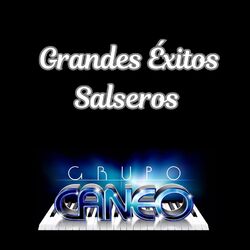 Cover of Grandes Éxitos Salseros (En Vivo)