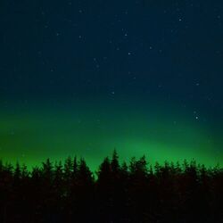 Cover of Northern Lights