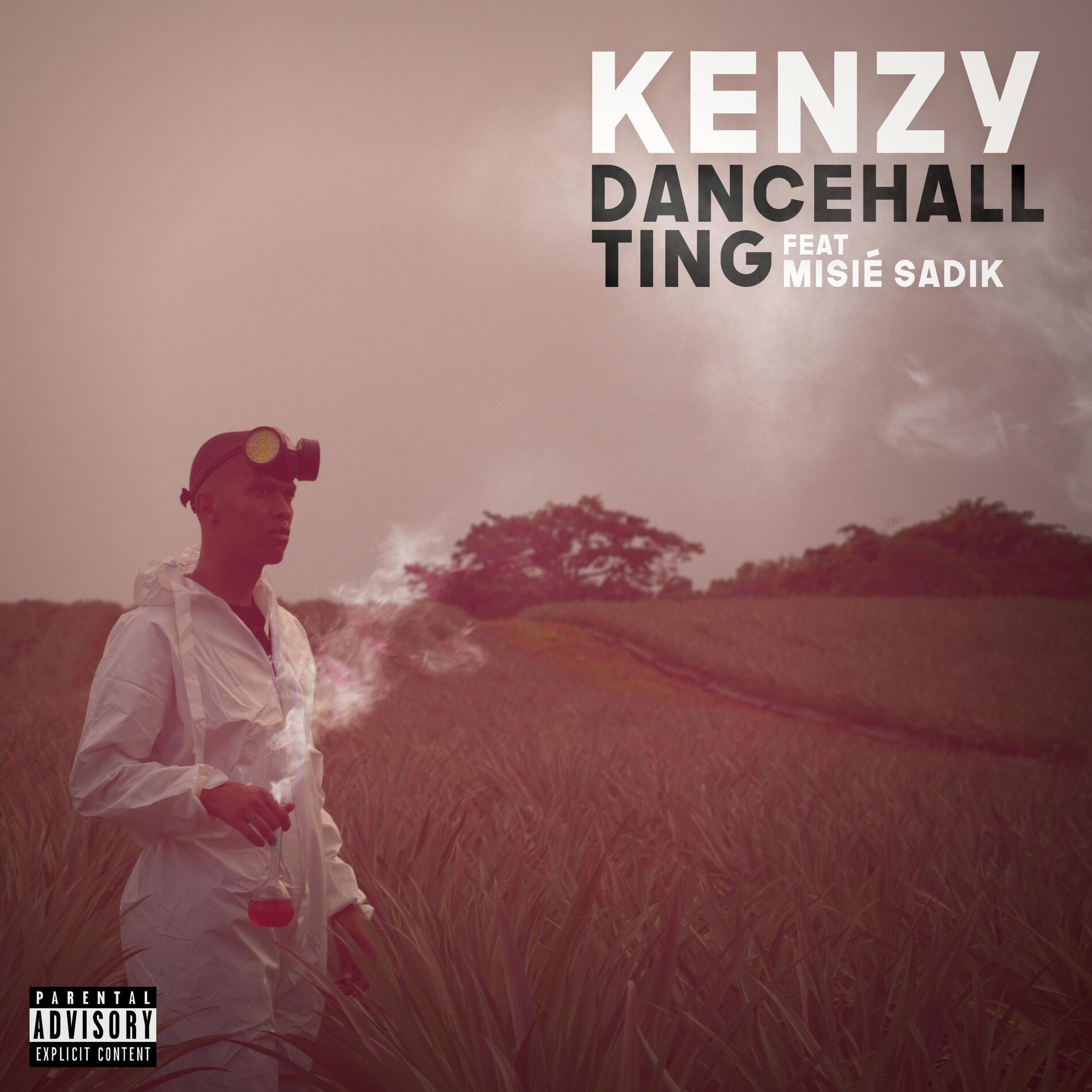 Album cover of Dancehall Ting (feat. Misié Sadik)