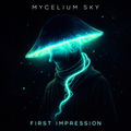 First Impression