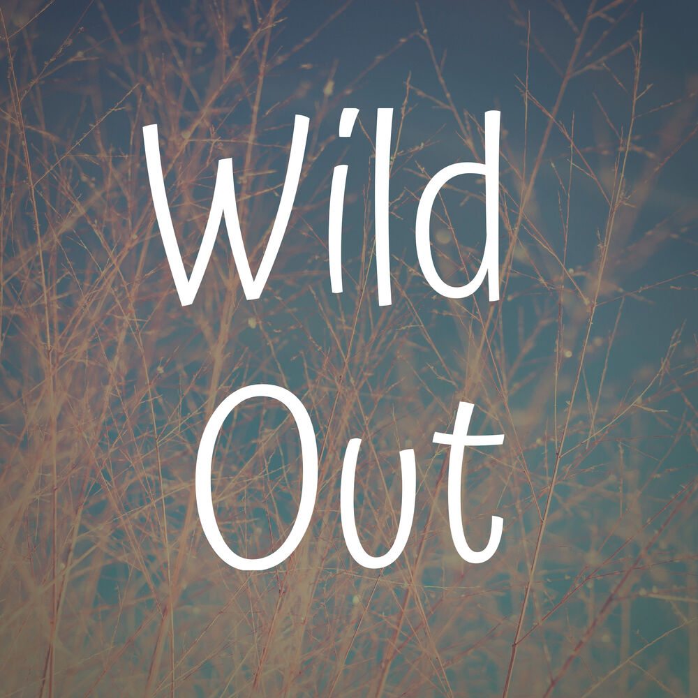 Picture of Wild Out