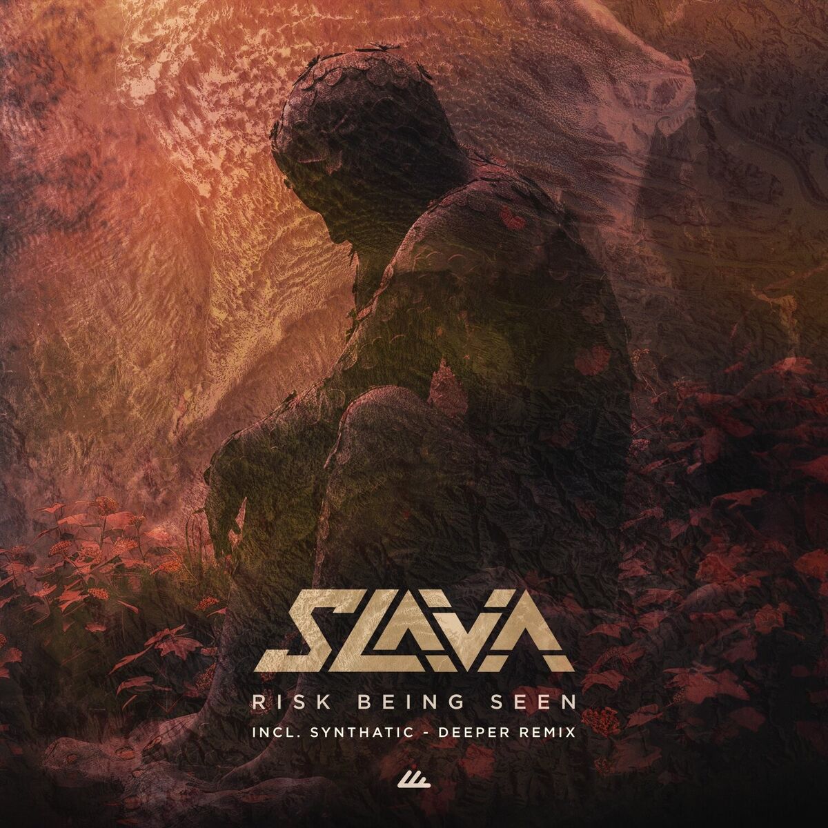 Album cover of Risk Being Seen