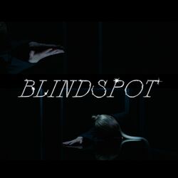 Cover of Blindspot