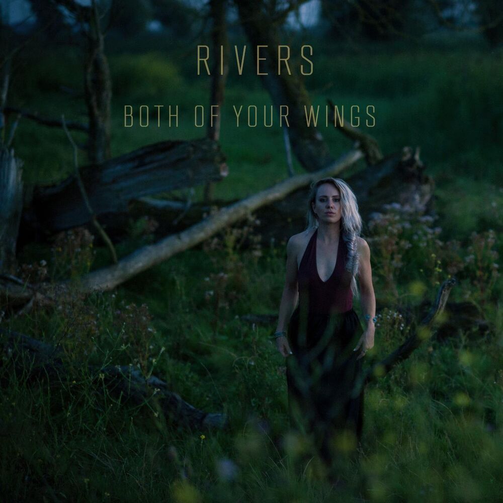 Picture of Both of Your Wings