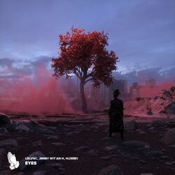Cover of Eyes