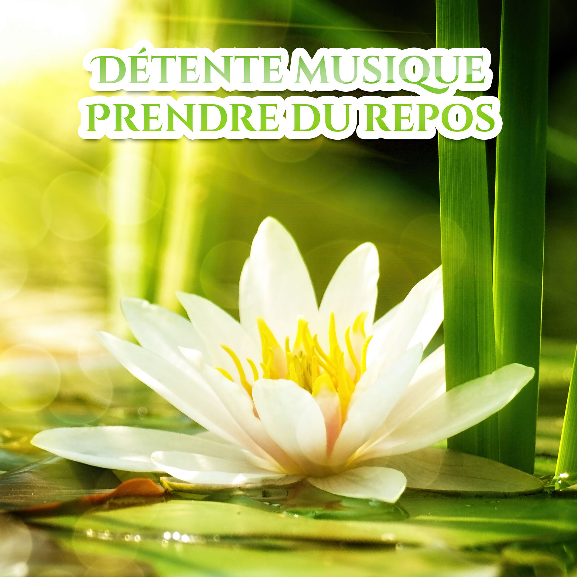 Album cover of Purification