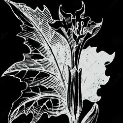 Cover of The Night We Met