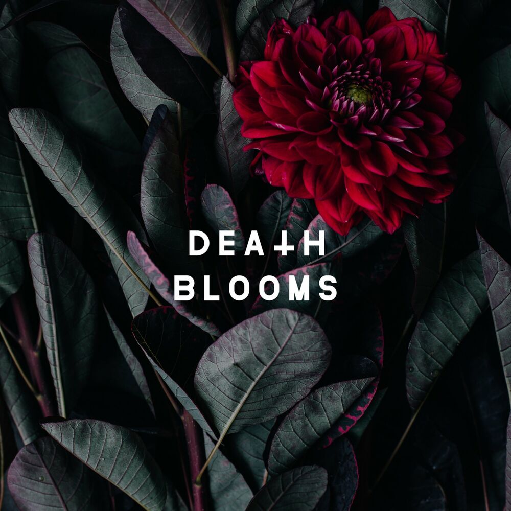 Picture of Death Blooms