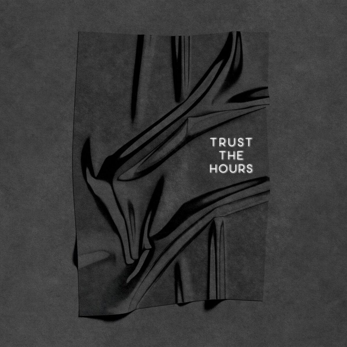 Album cover of Trust The Hours
