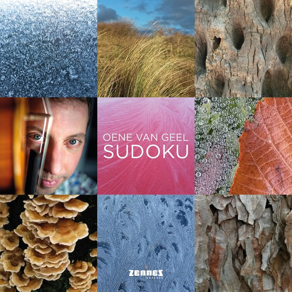 Picture of Sudoku