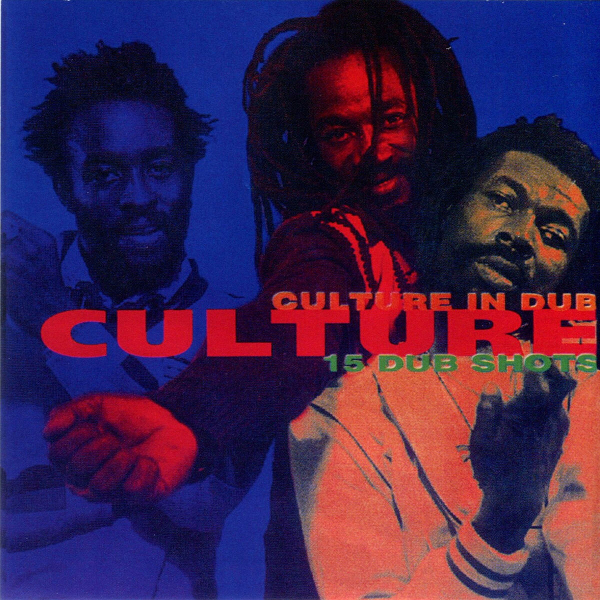 Album cover of Culture in Dub