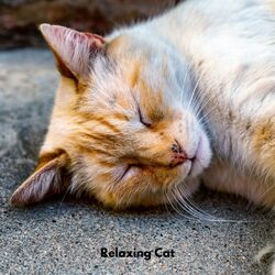 Cover of Relaxing Cat