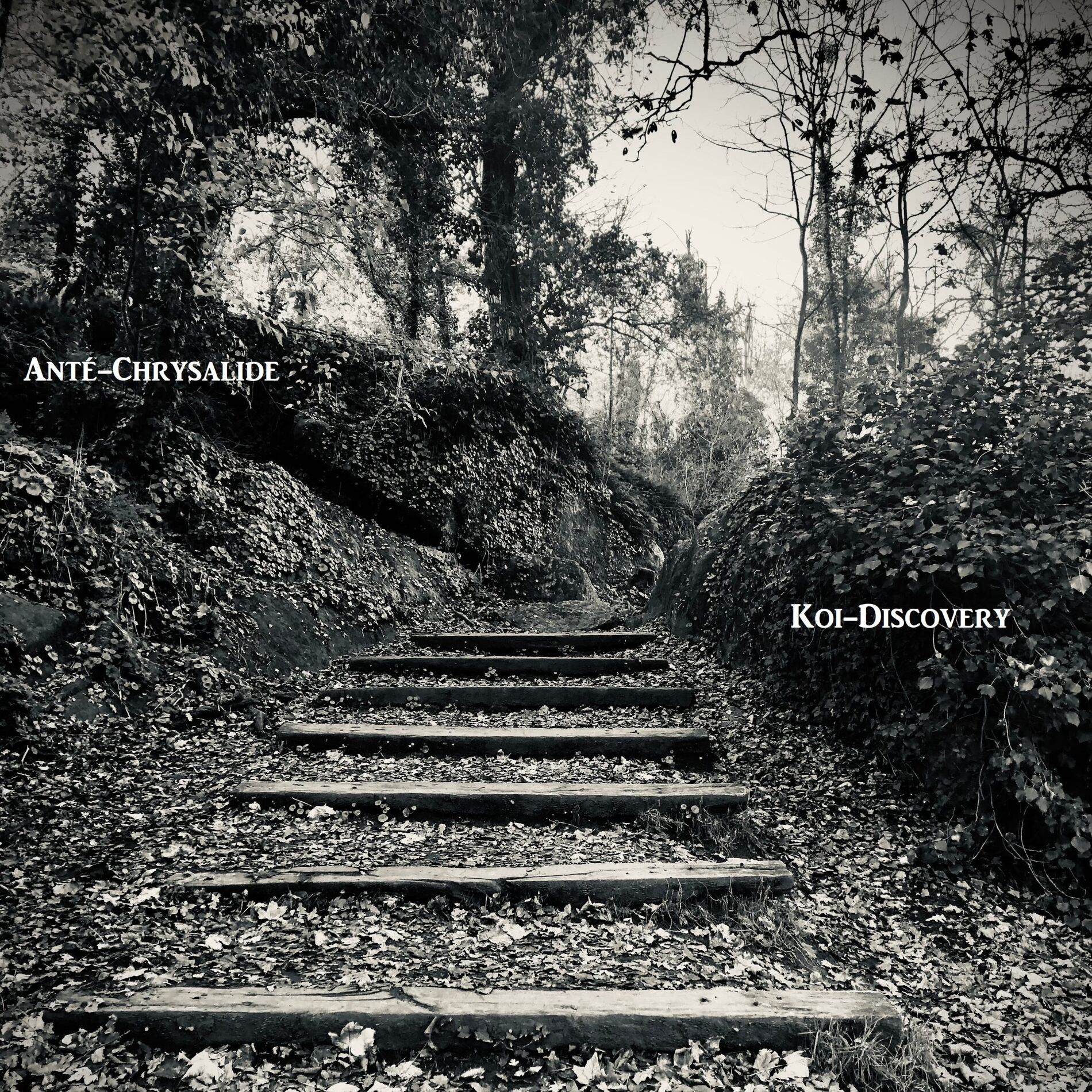 Album cover of Atlas Shoulders