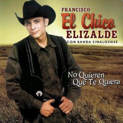 Cover of No Quieren Que Te Quiera