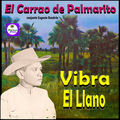 Vibra El Llano