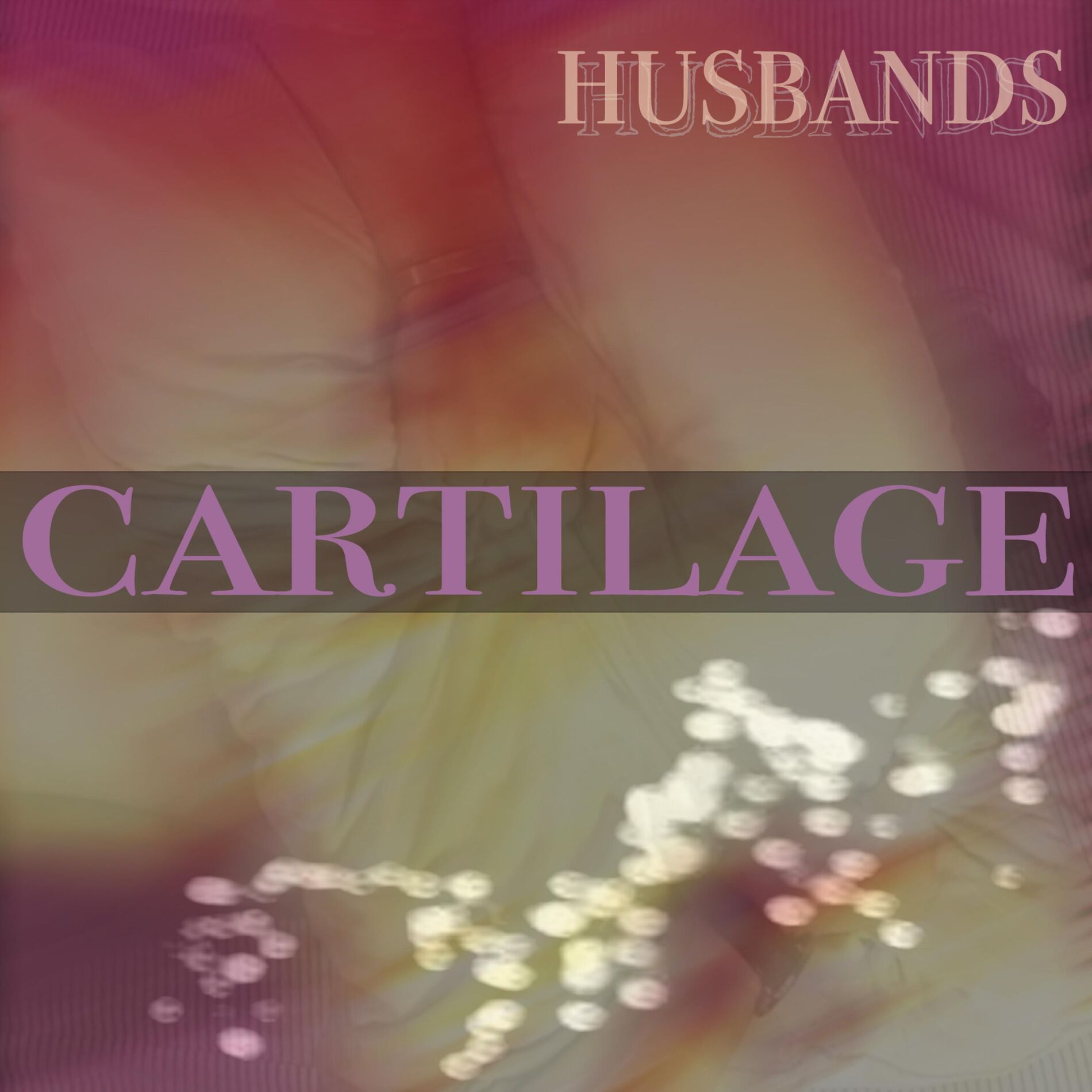 Album cover of Cartilage