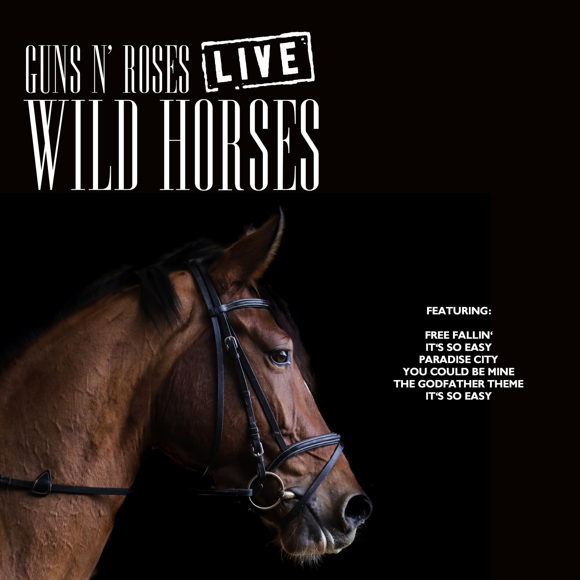 Album cover of Wild Horses (Live)