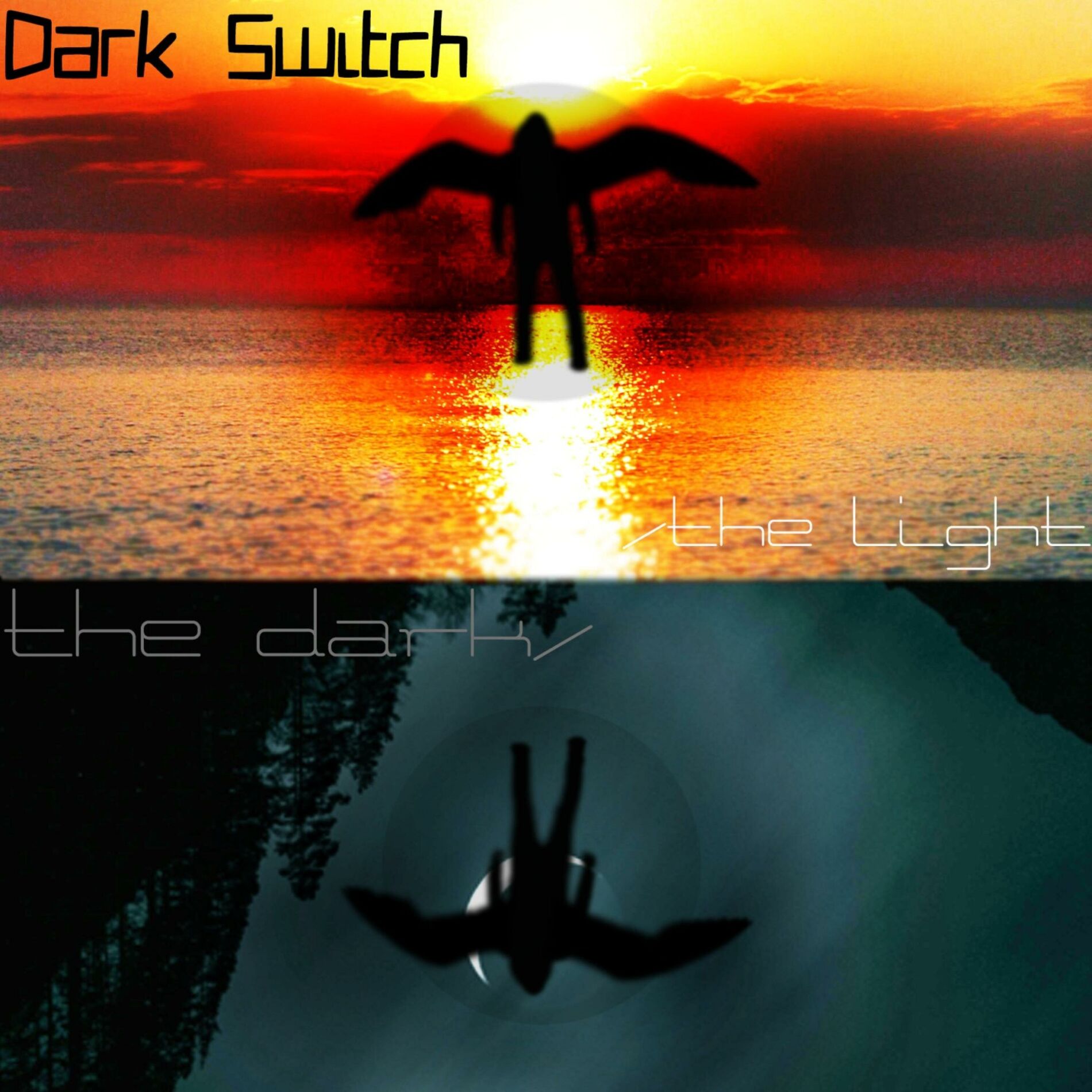 Album cover of The Dark//The Light