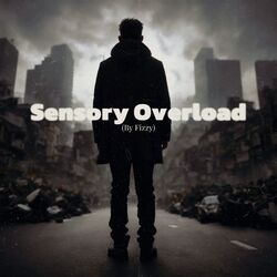 Cover of Sensory Overload