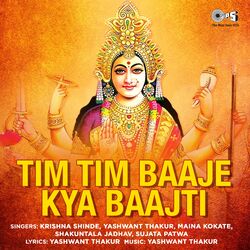 Cover of Tim Tim Baaje Kya Baajti