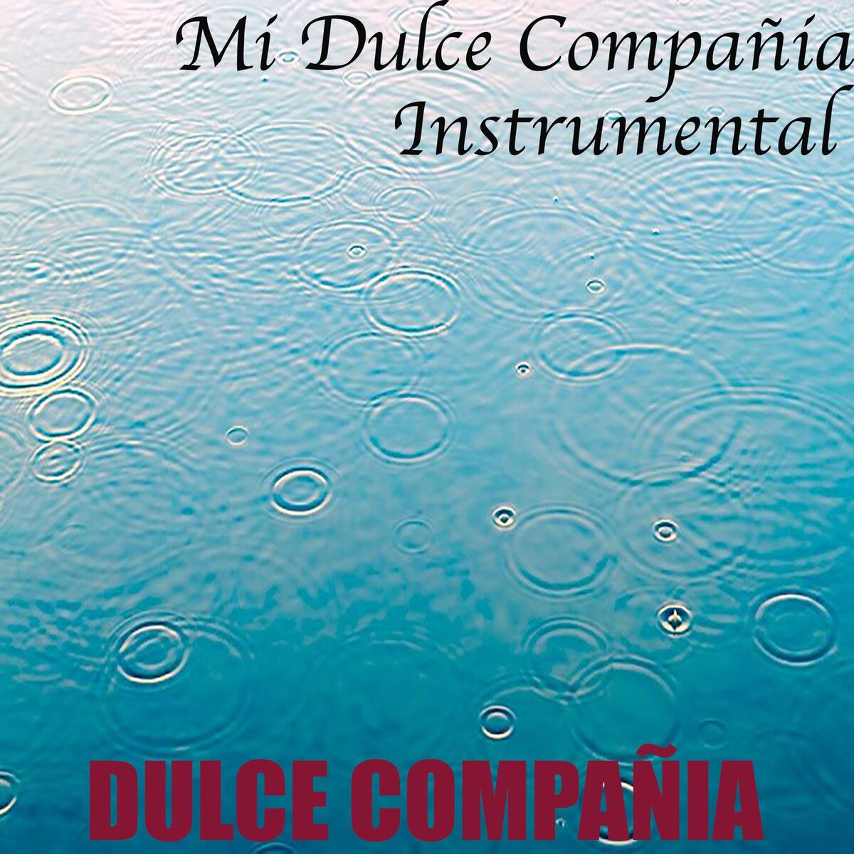 Album cover of Mi Dulce Compañía Instrumental