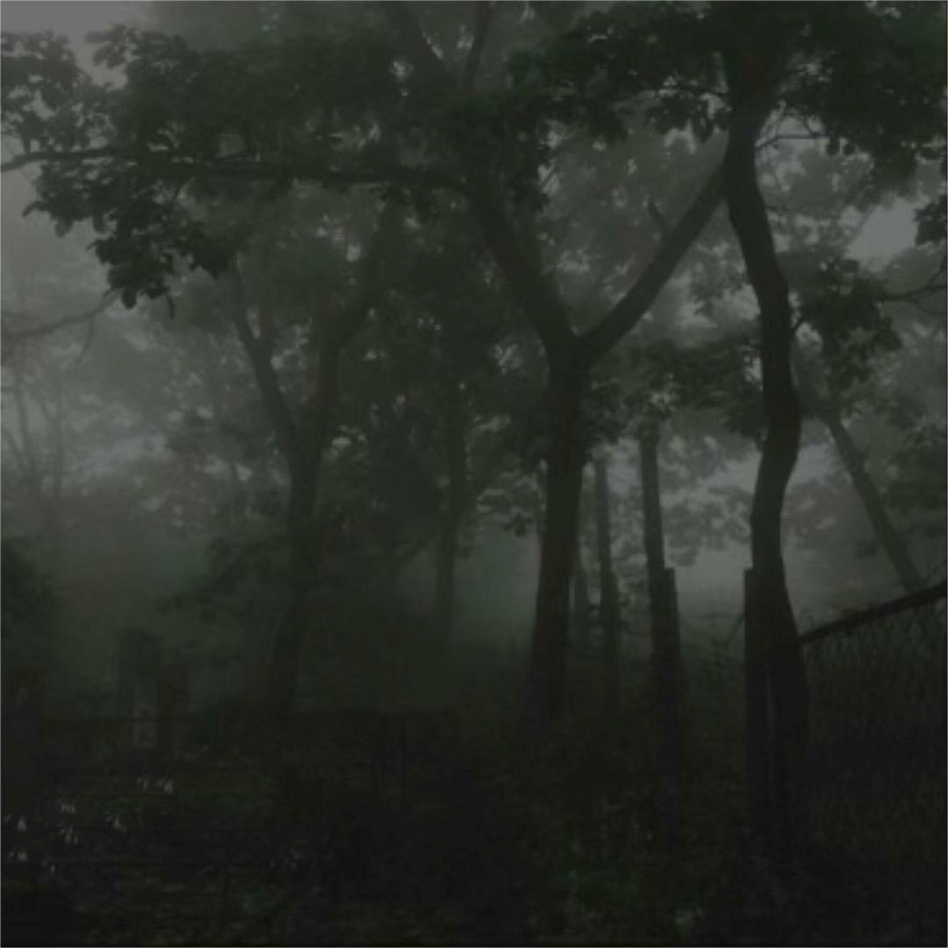 Album cover of nineteen
