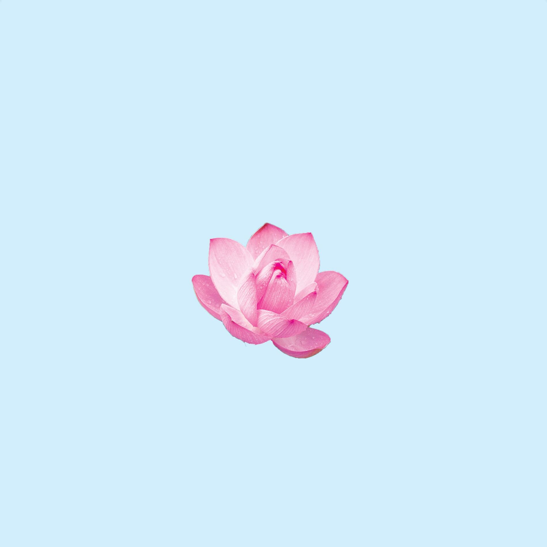 Album cover of Slow