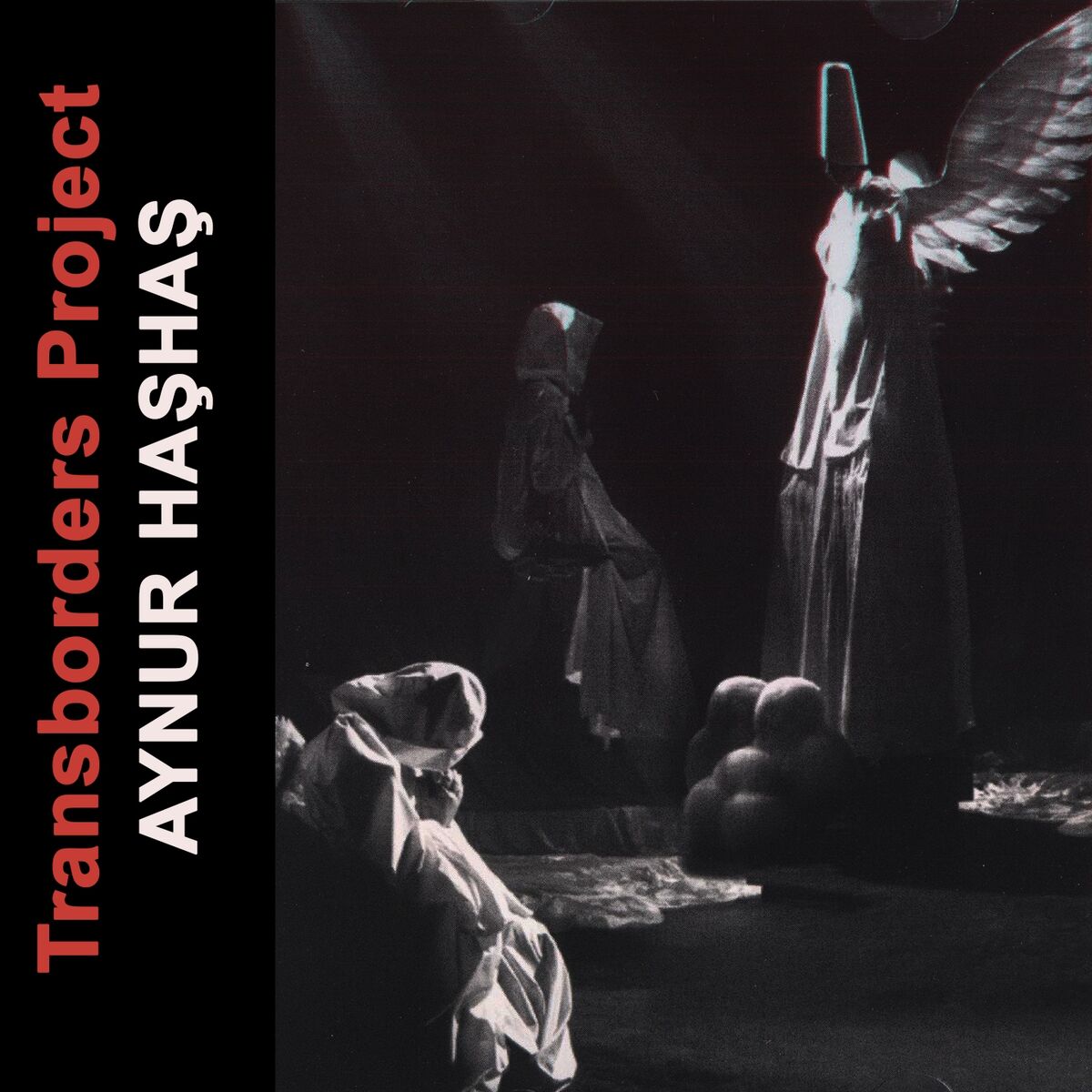 Album cover of Transborders Project