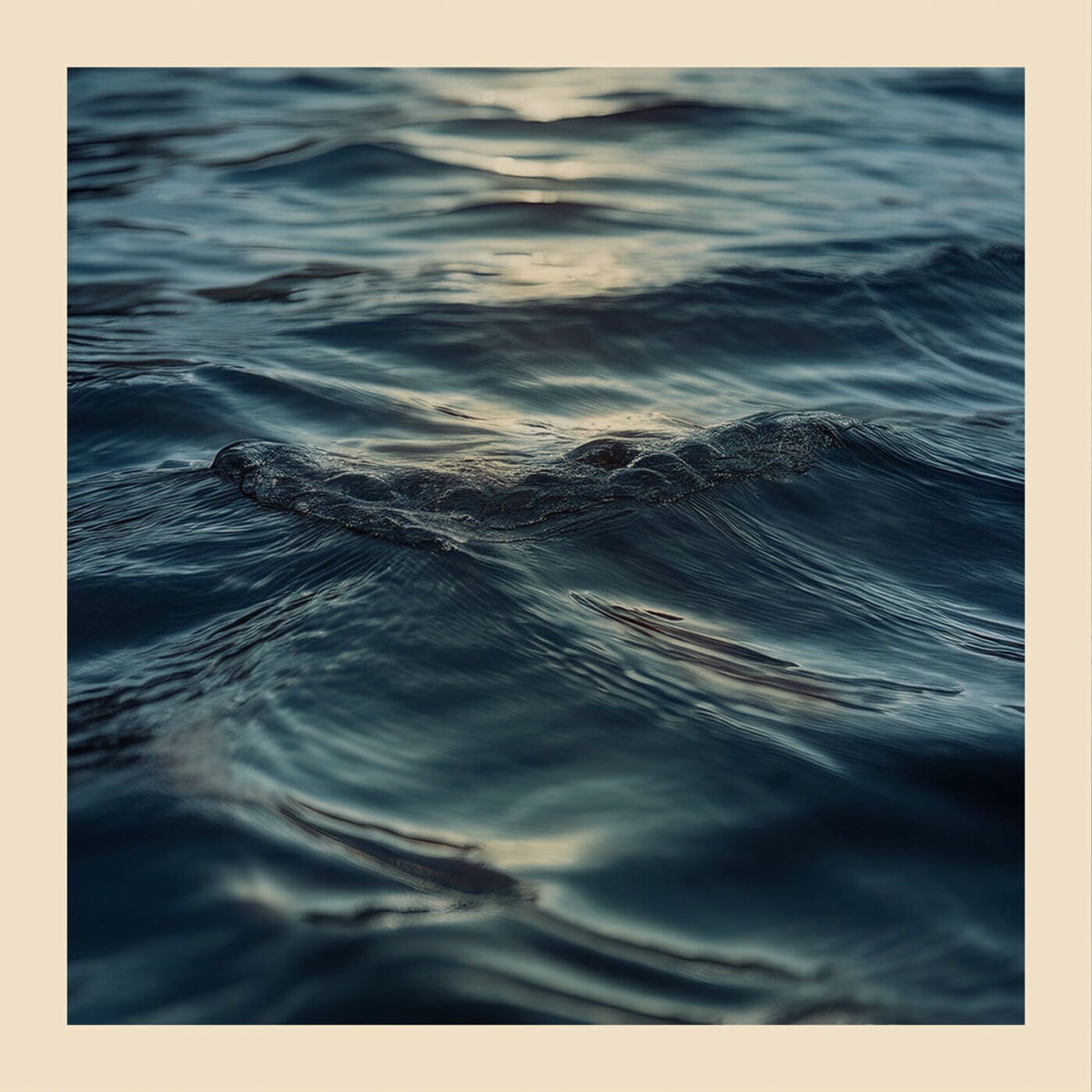 Album cover of Brook Haus
