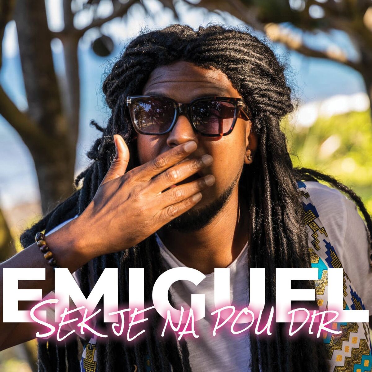 Album cover of Sek Je Na Pou Dir