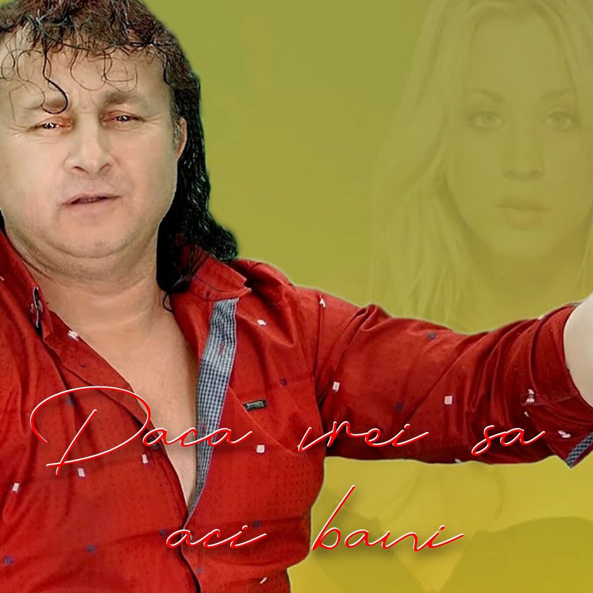 Album cover of Daca vrei sa faci bani