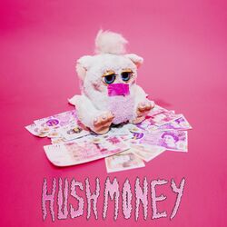 Cover of Hush Money