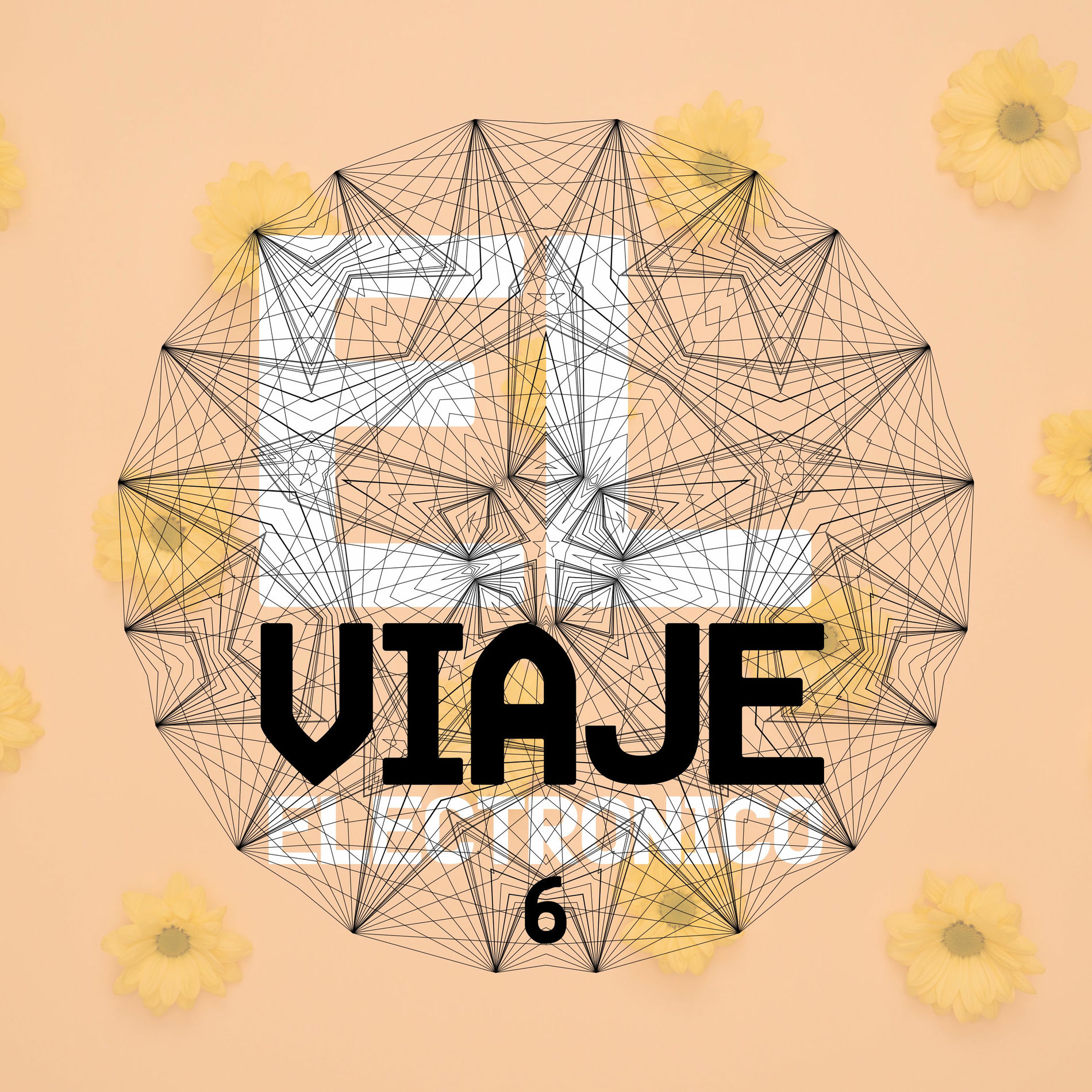 Album cover of El Viaje Electrónico, 6