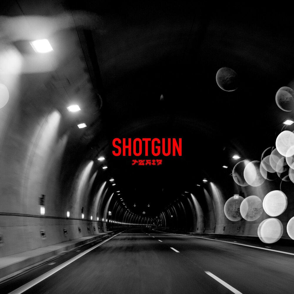 Picture of Shotgun