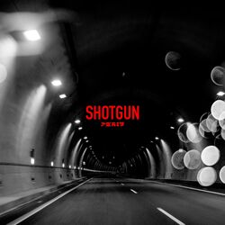 Cover of Shotgun