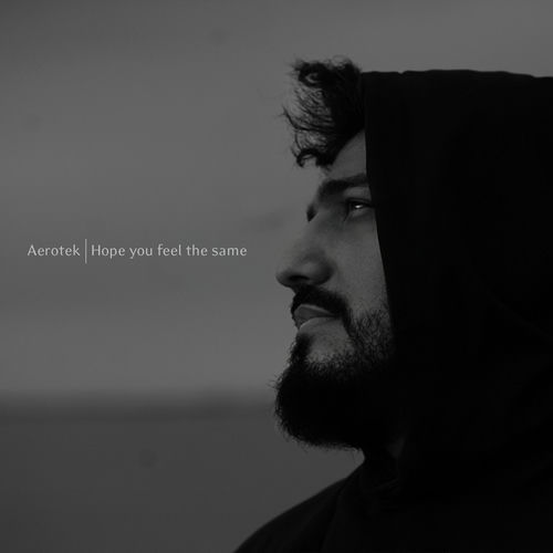 Hope You Feel The Same artwork