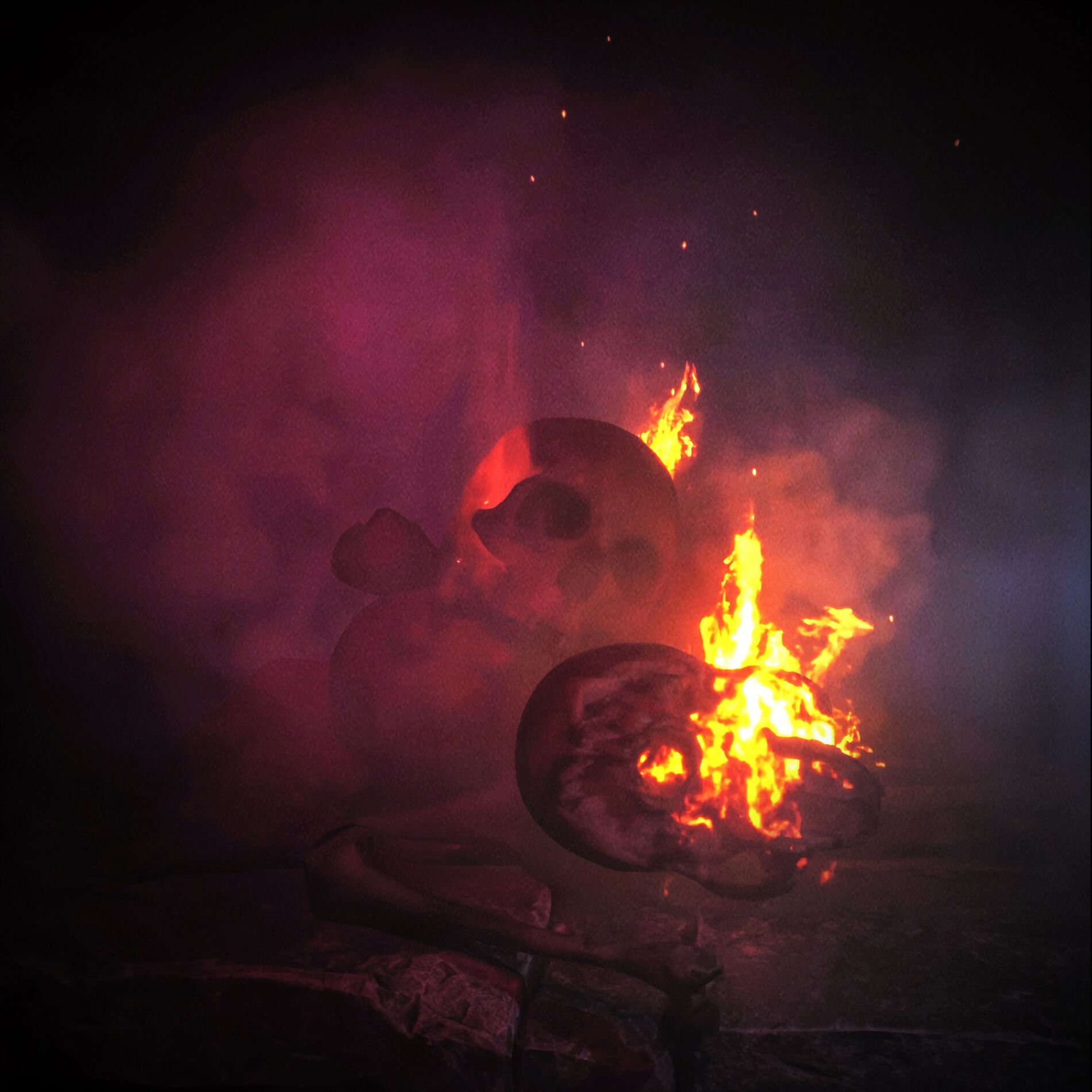Album cover of 清醒的堕落者