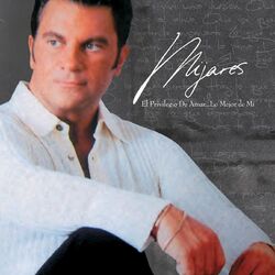 Cover of El Privilegio De Amar... Lo Mejor De Mi