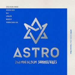 Cover of Summer Vibes