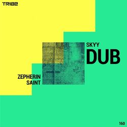 Cover of Skyy Dub